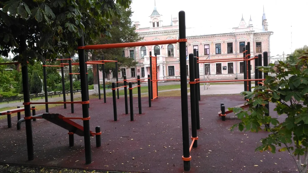 Bară de flotări la Calisthenics Park at переулок Суровикина, Борисоглебск – fotografia 6 din 6