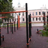 Calisthenics Park at переулок Суровикина, Борисоглебск - thumbnail 6