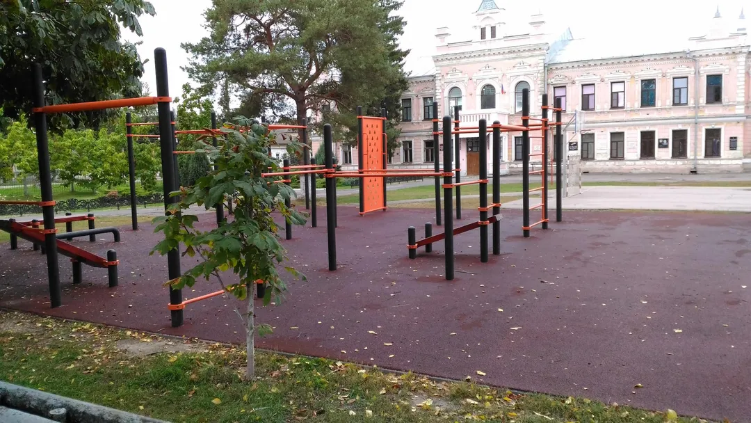 Monkey Bars la Calisthenics Park at переулок Суровикина, Борисоглебск – fotografia 3 din 6