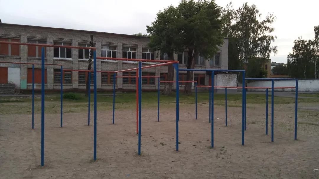 Monkey Bars at Calisthenics Park at Северный переулок, Брянск – photo 3 of 5