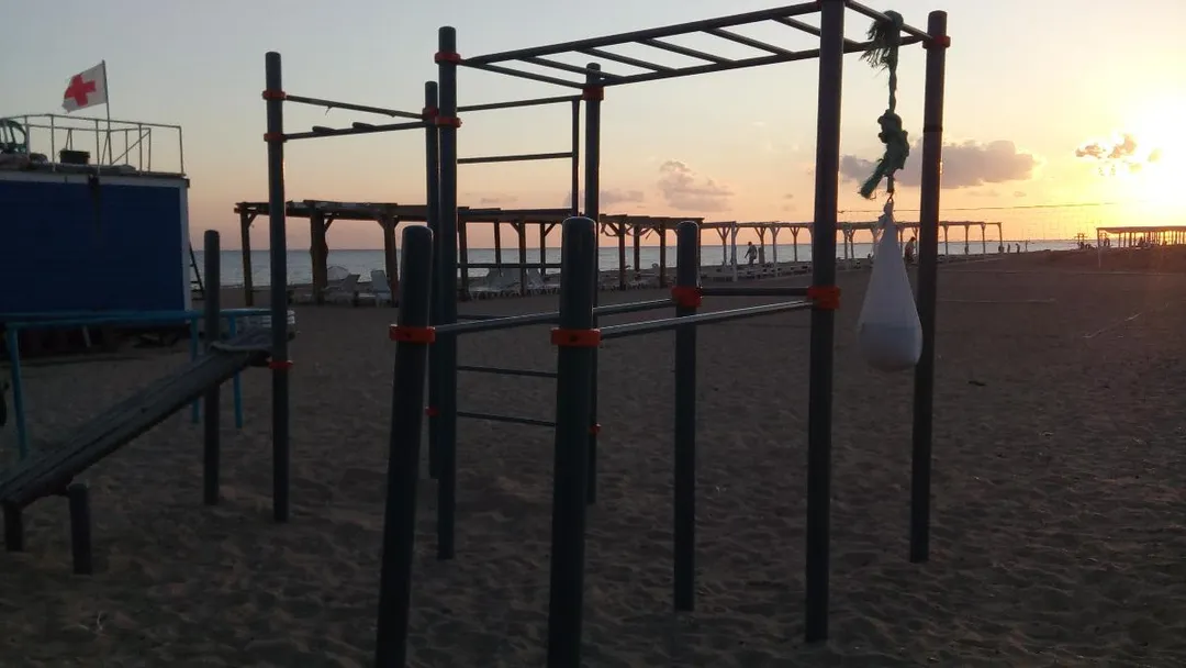 Monkey Bars la Calisthenics Park at Гвоздика, Благовещенская – fotografia 8 din 8