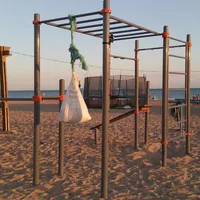 Calisthenics Park at Гвоздика, Благовещенская - thumbnail 2