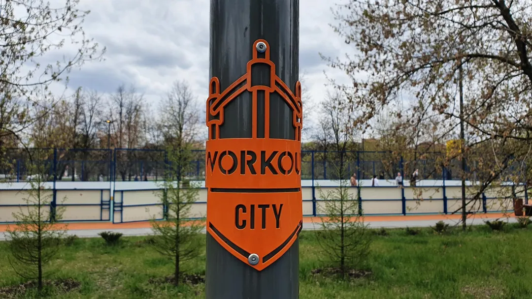 Турнік на майданчику Calisthenics Park at аллея Ветеранов, Москва #wp2661 – фото 8 з 8