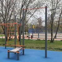 Calisthenics Park at аллея Ветеранов, Москва #wp2661 - thumbnail 1