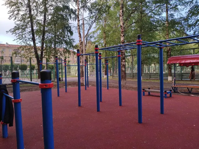 Calisthenics Park at бульвар Доменщиков, Череповец