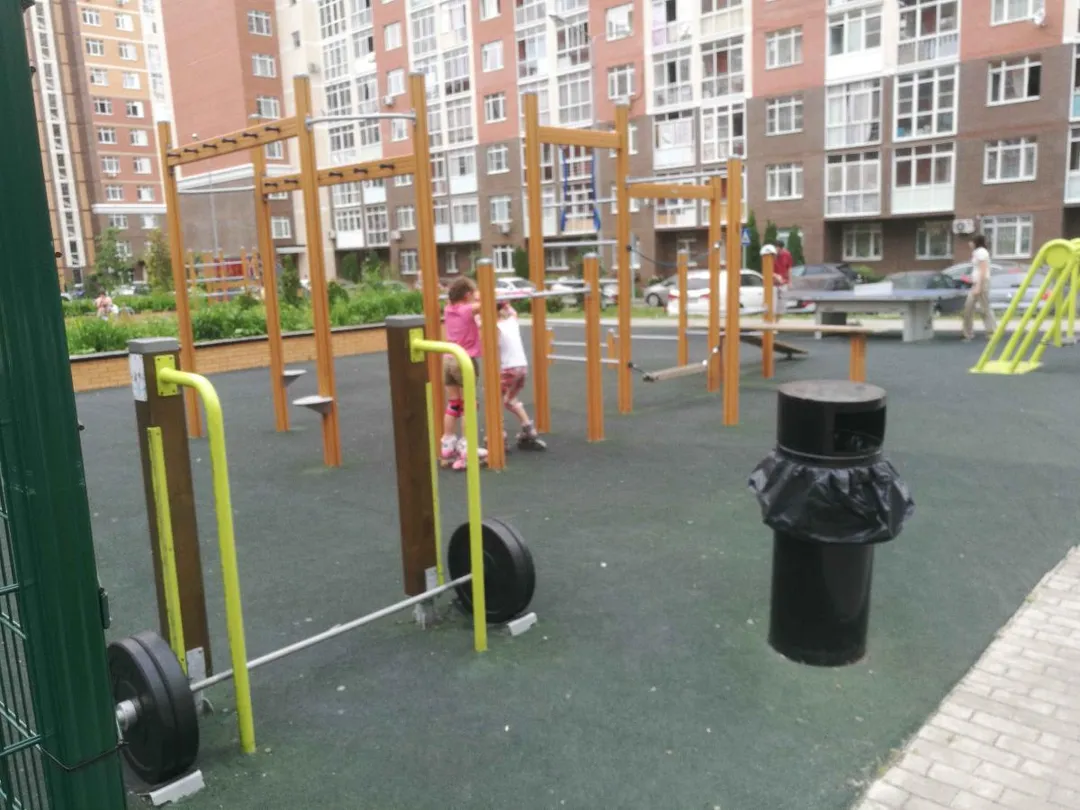 Monkey Bars la Calisthenics Park at улица Липовый парк, район Коммунарка – fotografia 3 din 3