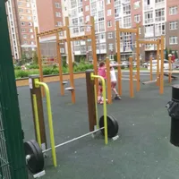 Calisthenics Park at улица Липовый парк, район Коммунарка - thumbnail 3