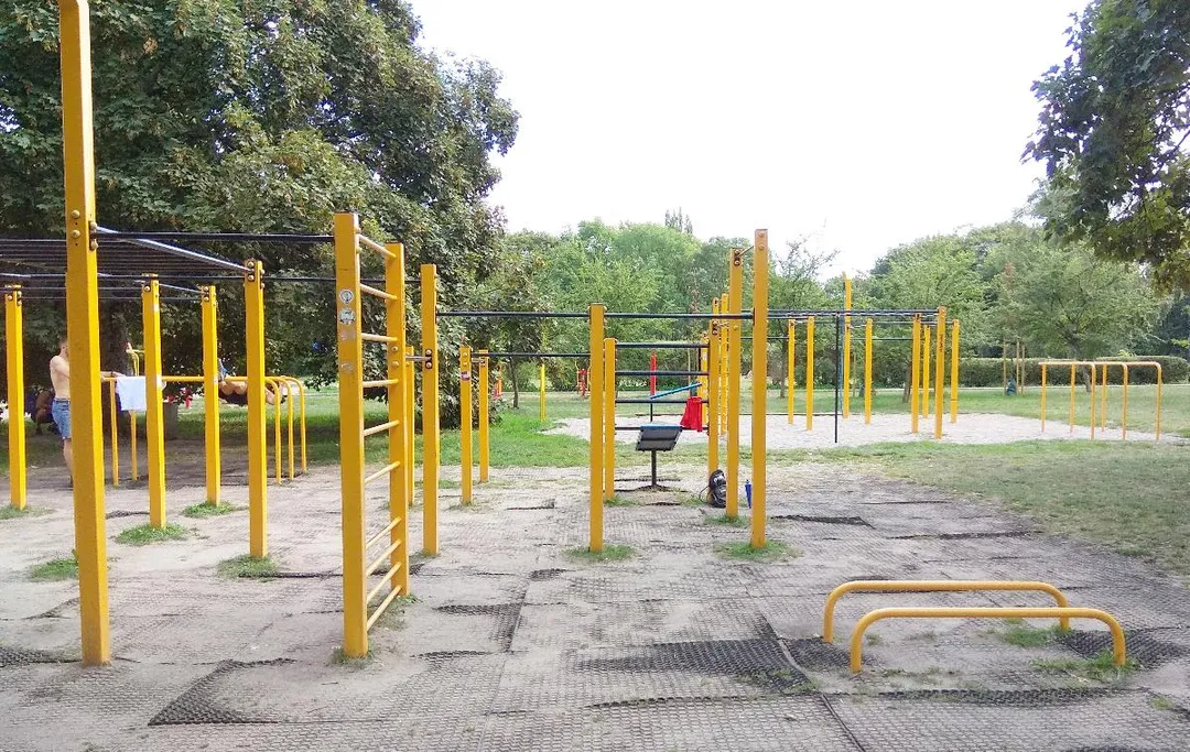 Espalier à Calisthenics Park at Deotymy, Warszawa – photo 4 sur 4