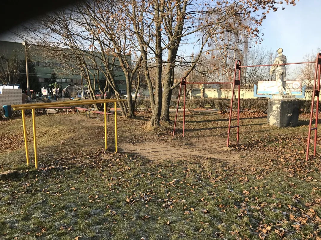 Monkey bar presso Calisthenics Park at РТИ, Ногинск – foto 3 di 3