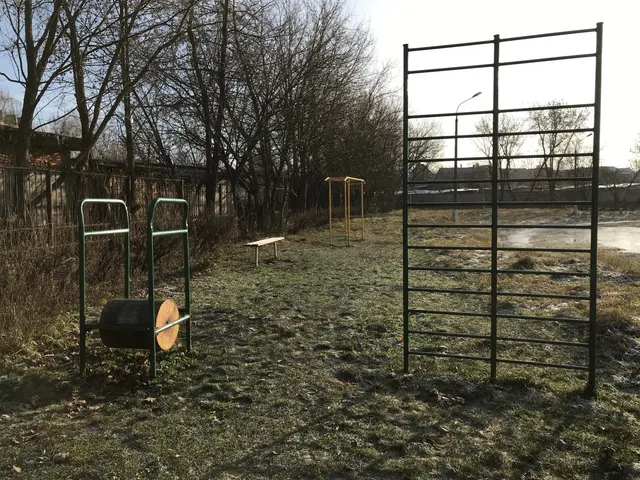 Calisthenics Park at РТИ, Ногинск