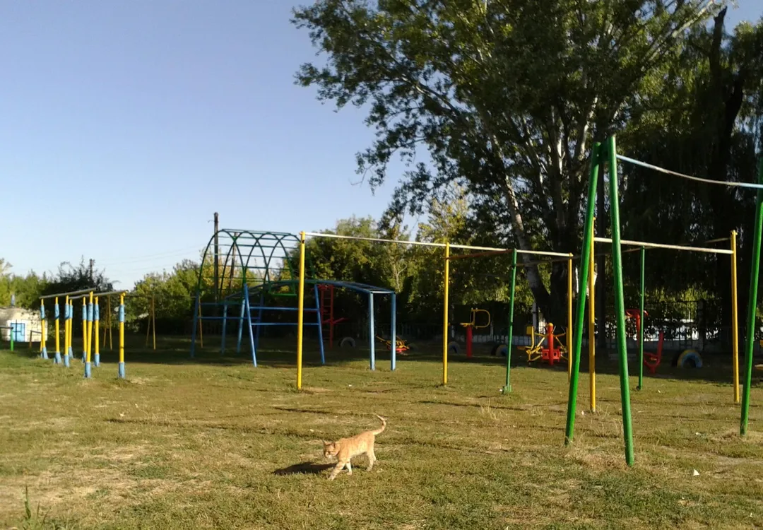Monkey Bars la Calisthenics Park at Уланська площа, Чугуїв – fotografia 4 din 4