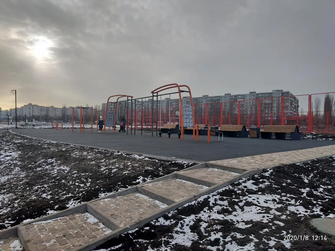 Monkey Bars at Calisthenics Park at Спортивная площадка, Старый Оскол – photo 7 of 7