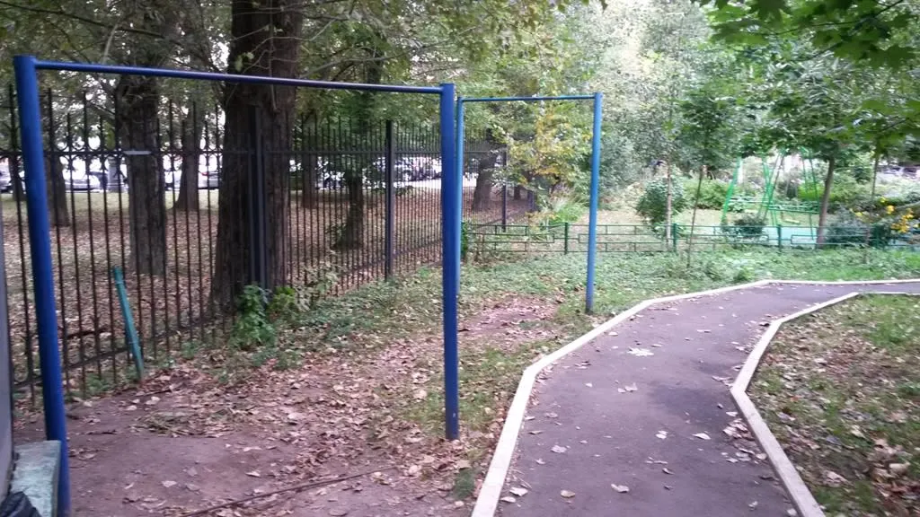 Barres parallèles à Calisthenics Park at Ленинский проспект (дублёр), Москва #wp2697 – photo 2 sur 3