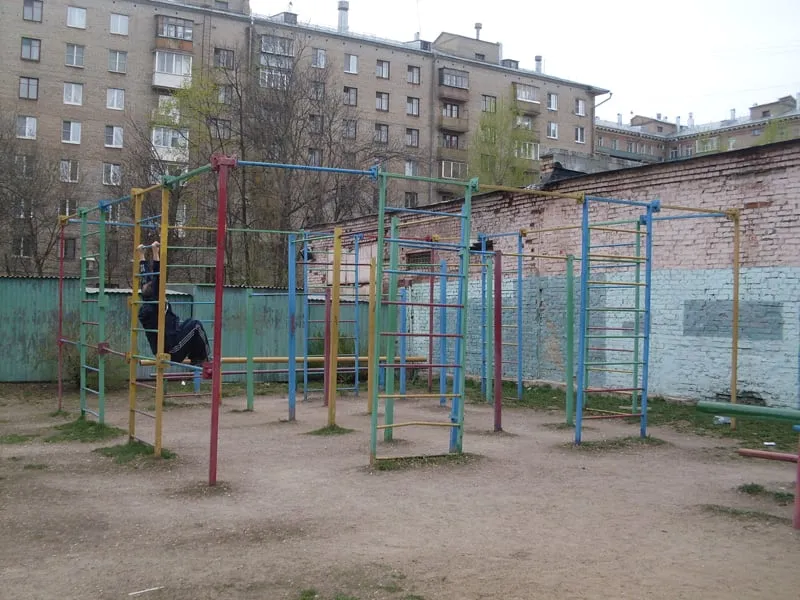 Barres de singe à Calisthenics Park at проектируемый проезд № 6024, Москва – photo 3 sur 5