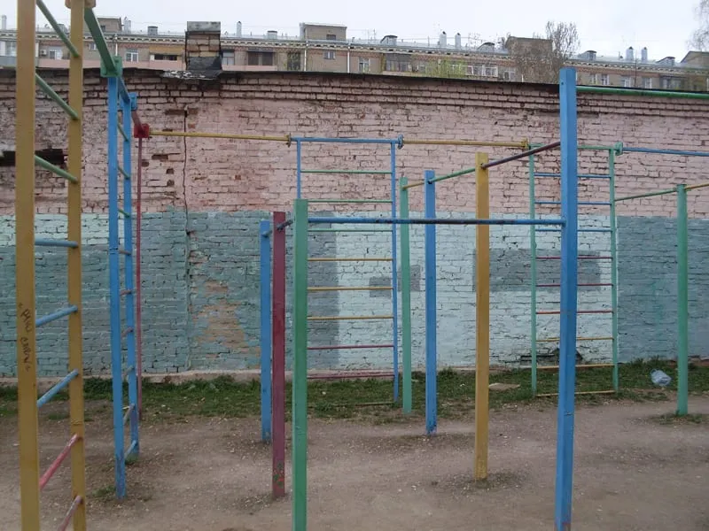 Espalier à Calisthenics Park at проектируемый проезд № 6024, Москва – photo 4 sur 5