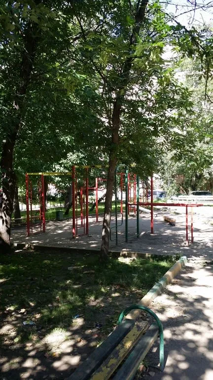 Monkey Bars la Calisthenics Park at улица Юннатов, Москва – fotografia 3 din 3