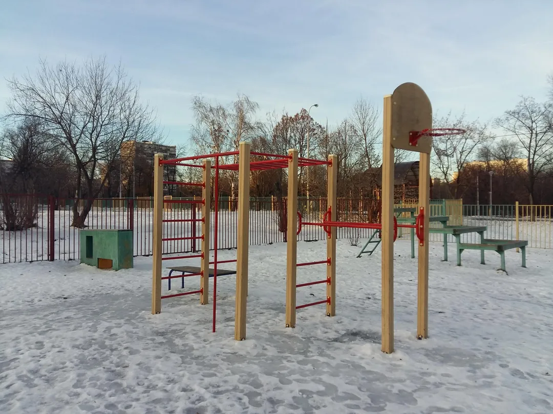 Espalier à Calisthenics Park at Кировоградская улица, Москва #wp2704 – photo 4 sur 5