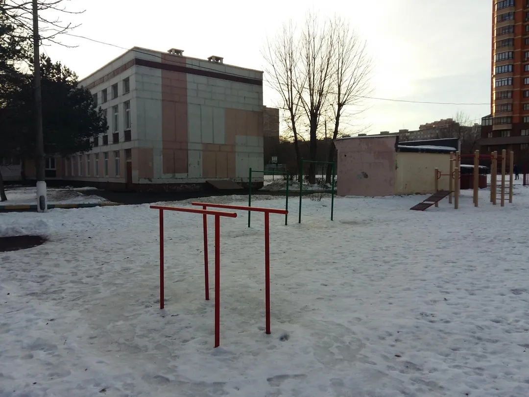 Barres de singe à Calisthenics Park at Кировоградская улица, Москва #wp2704 – photo 3 sur 5
