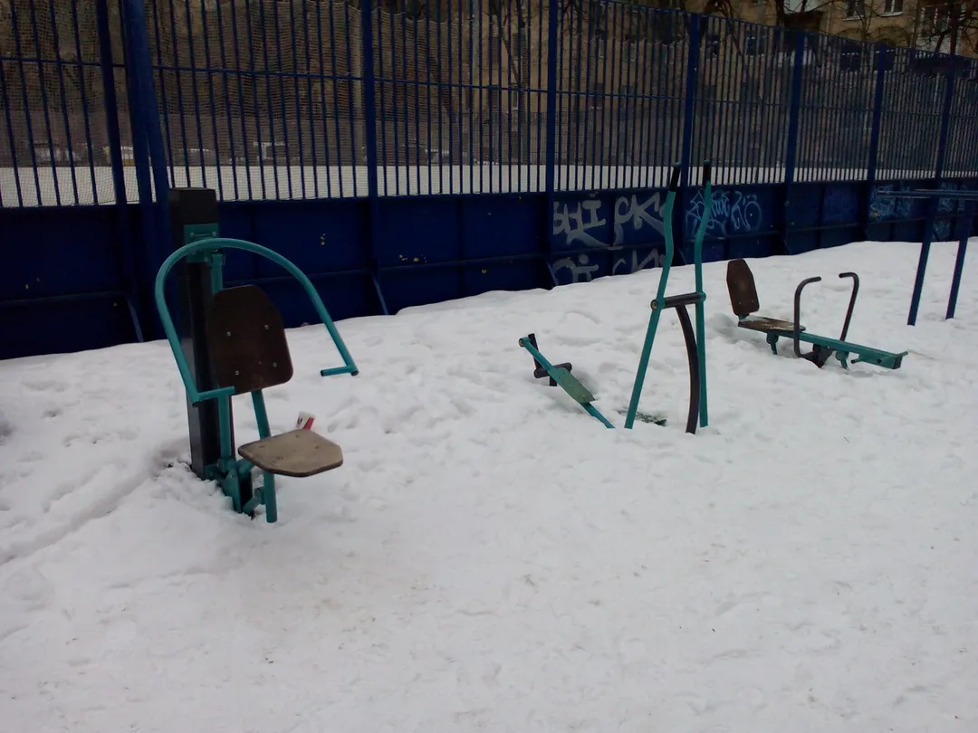Monkey Bars at Calisthenics Park at Большая Дорогомиловская улица, Москва – photo 3 of 6