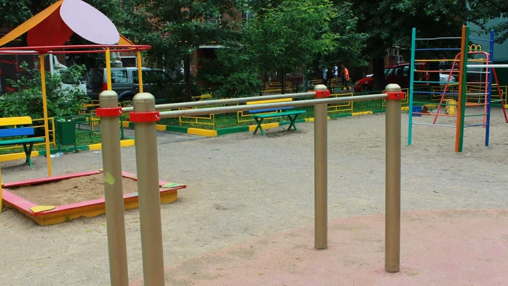 Spalier la Calisthenics Park at Большая Серпуховская улица, Москва – fotografia 4 din 6