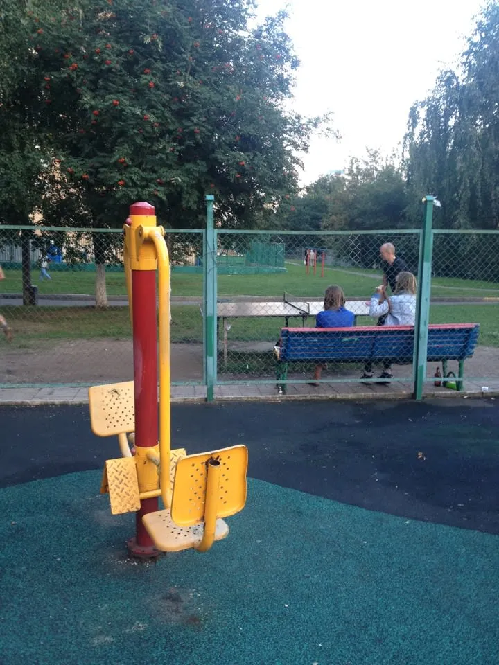 Espalier à Calisthenics Park at улица Академика Полякова, Москва #wp2714 – photo 5 sur 6