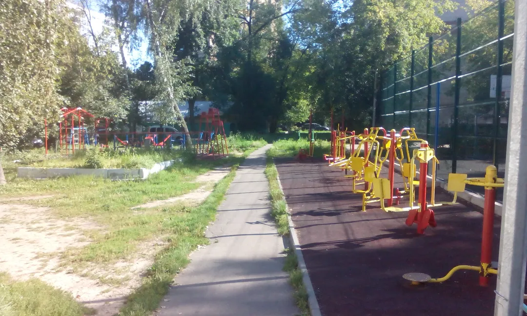 Monkey bar presso Calisthenics Park at Старый Зыковский проезд, Москва – foto 3 di 3