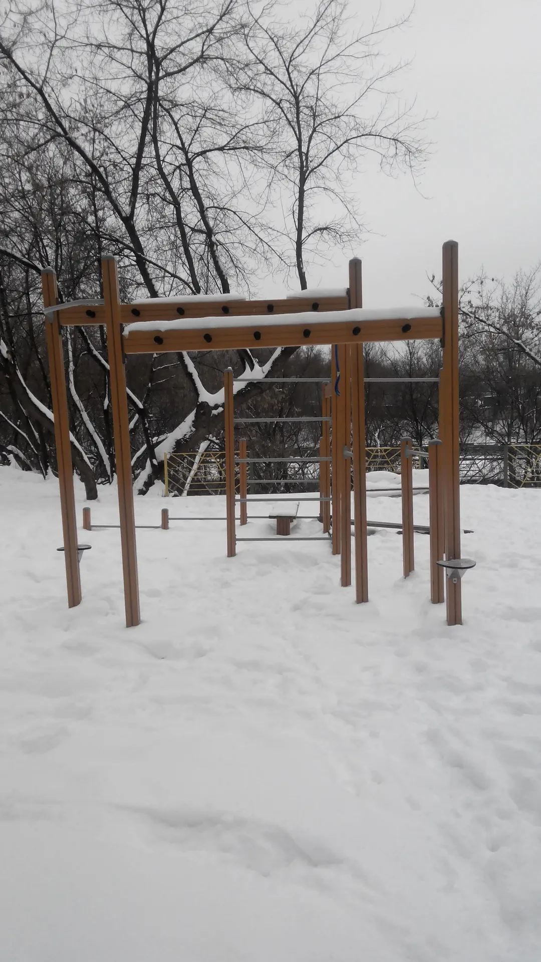 Barra de Dominadas en Calisthenics Park at улица Академика Векшинского, Москва – foto 1 de 2