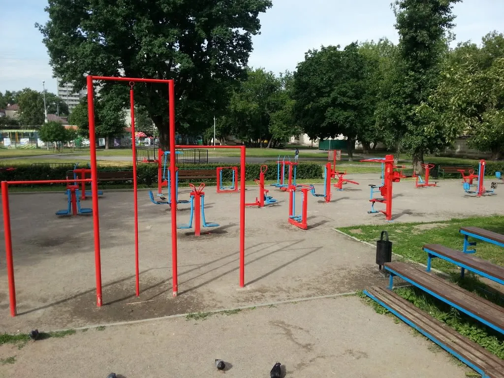 Air skier presso Calisthenics Park at Большой Факельный переулок, Москва – foto 4 di 4