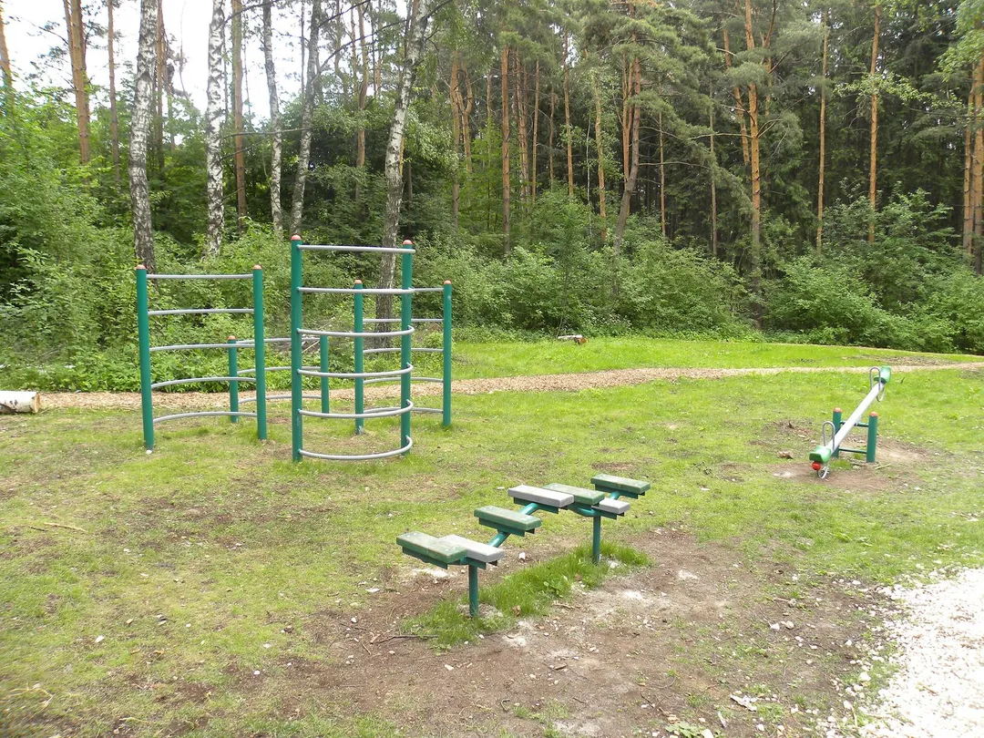 Monkey Bars at Calisthenics Park at Балаклавский проспект, Москва #wp2723 – photo 3 of 3