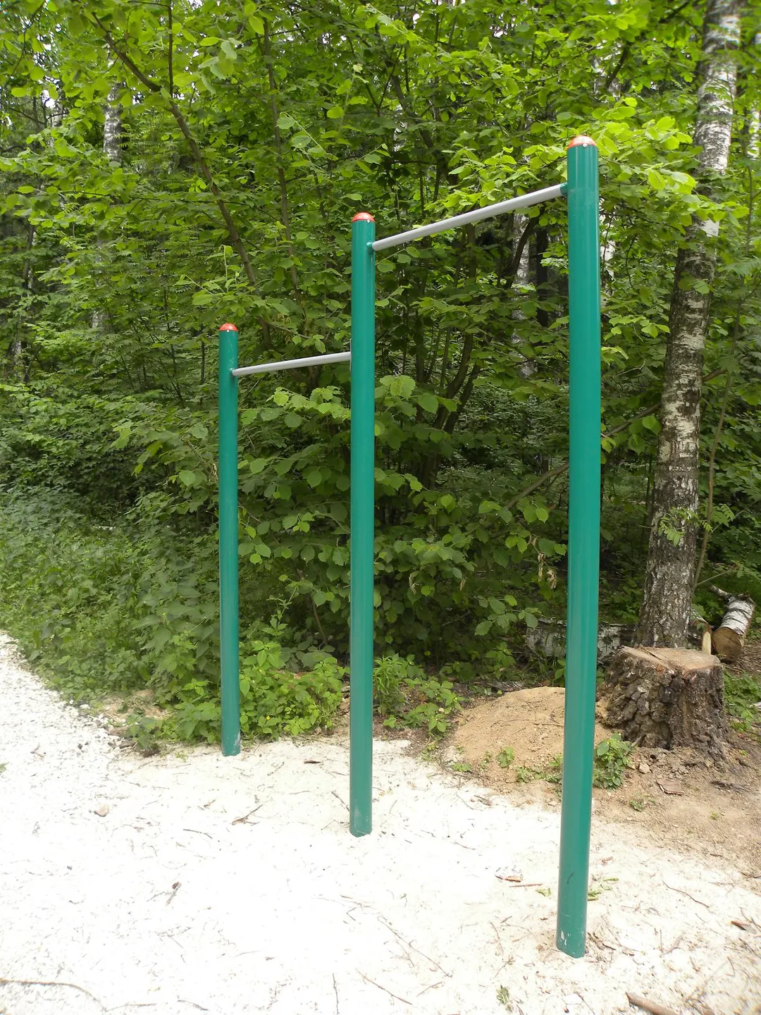 Parallel Gym Bars at Calisthenics Park at Балаклавский проспект, Москва #wp2723 – photo 2 of 3