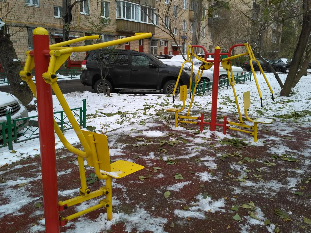 Wall Bars at Calisthenics Park at Малый Песчаный переулок, Москва – photo 4 of 7