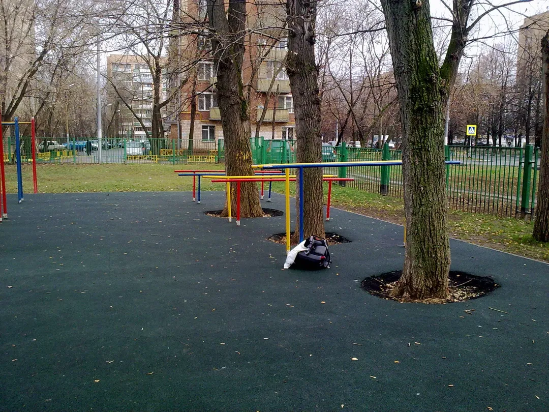 Barres de singe à Calisthenics Park at Чонгарский бульвар, Москва #wp2729 – photo 3 sur 3