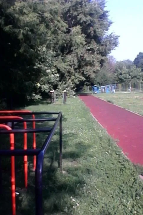 Monkey bar presso Calisthenics Park at Азовская улица, Москва – foto 3 di 4