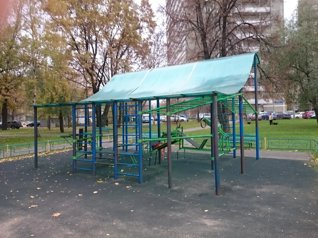Wall Bars at Calisthenics Park at Ярославское шоссе (дублёр), Москва – photo 4 of 4