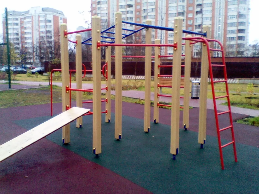 Spalier la Calisthenics Park at Болотниковская улица, Москва – fotografia 4 din 5