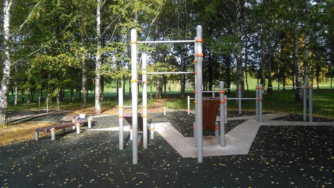 Рукохід на майданчику Calisthenics Park at проезд Шокальского, Москва #wp2755 – фото 3 з 3