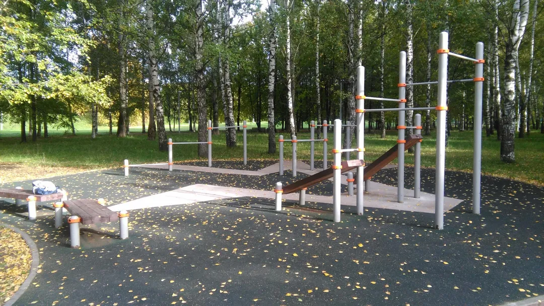 Турнік на майданчику Calisthenics Park at проезд Шокальского, Москва #wp2755 – фото 1 з 3