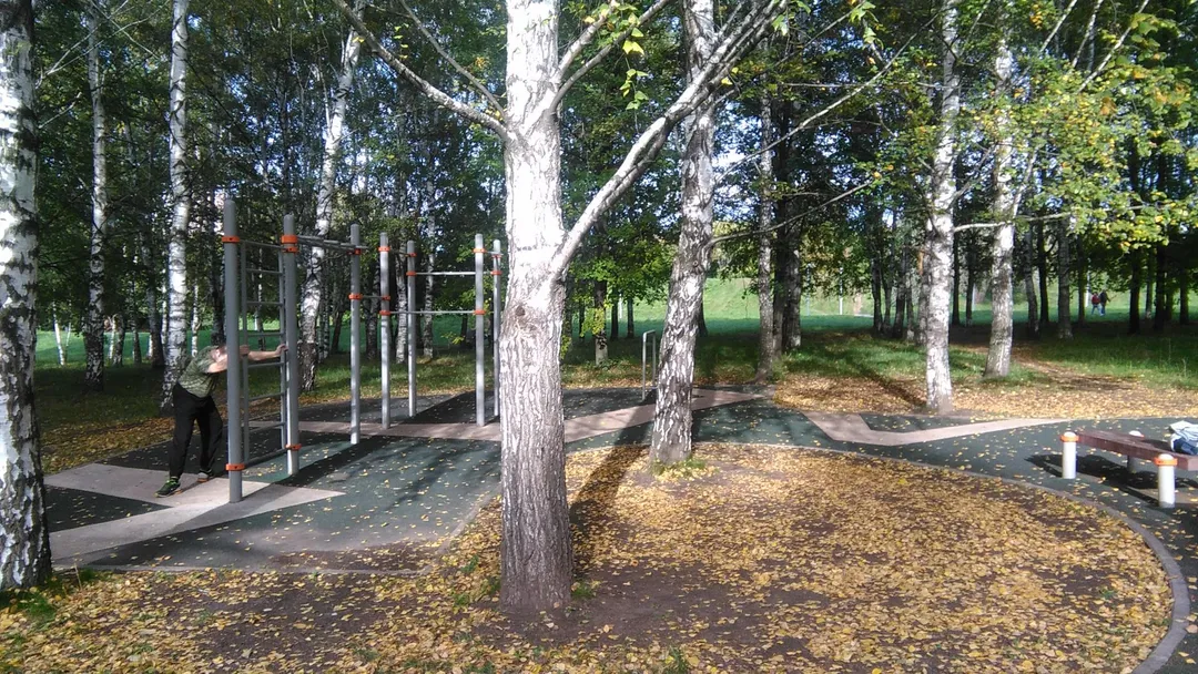 Бруси на майданчику Calisthenics Park at проезд Шокальского, Москва #wp2755 – фото 2 з 3