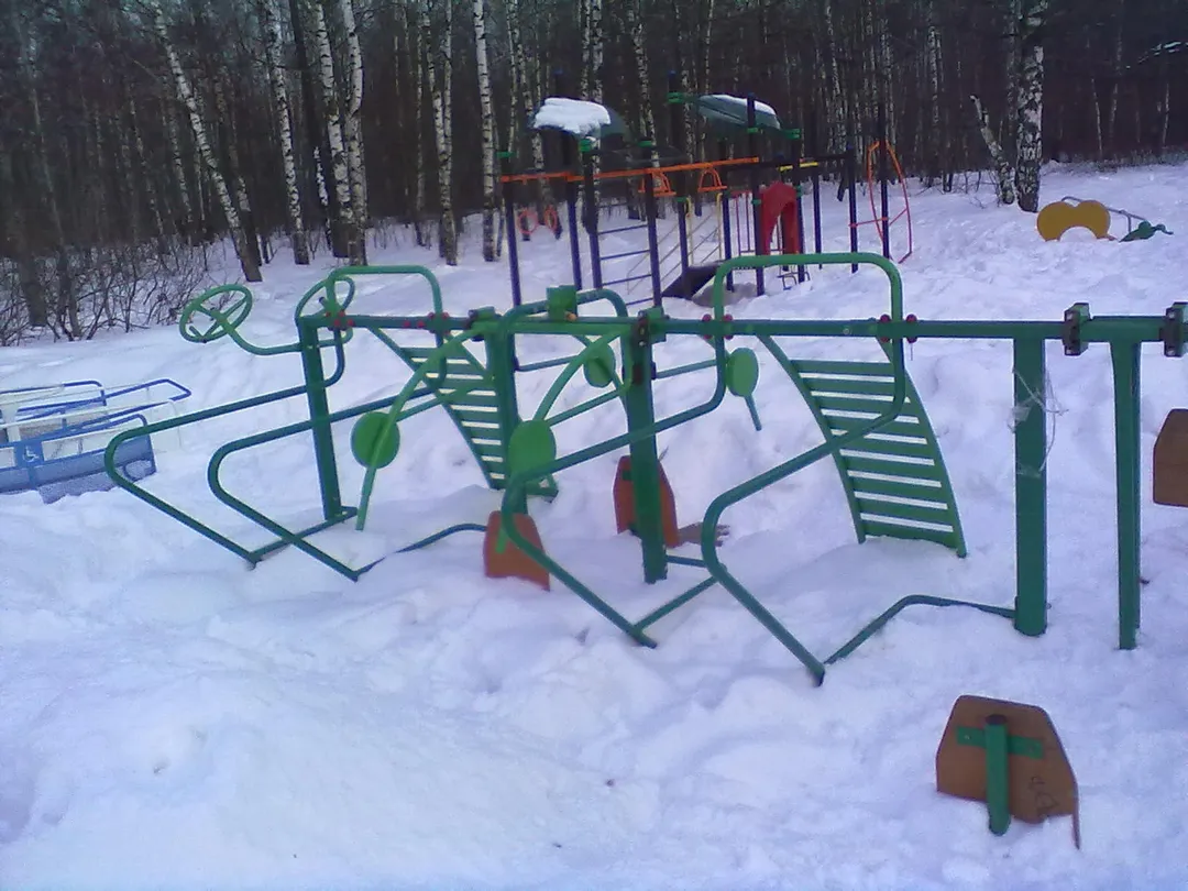 Monkey Bars la Calisthenics Park at Зональная улица, Москва – fotografia 8 din 9