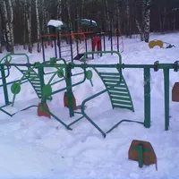 Calisthenics Park at Зональная улица, Москва - thumbnail 8