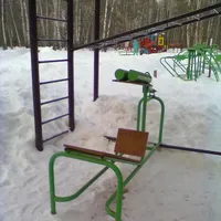 Calisthenics Park at Зональная улица, Москва - thumbnail 3