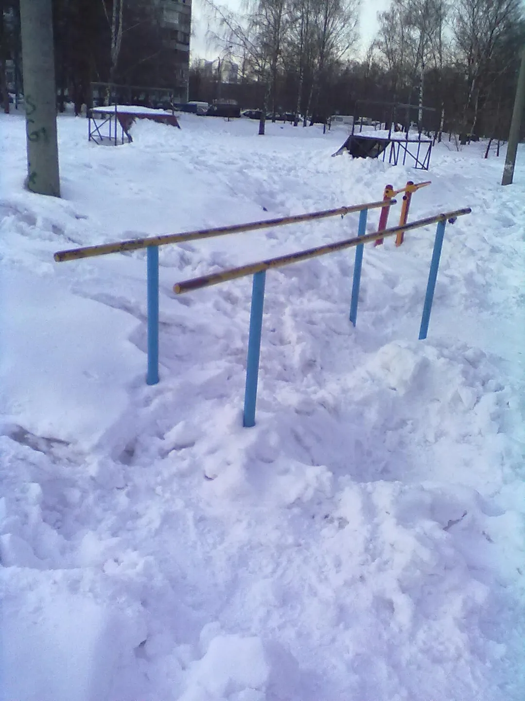 Spalier la Calisthenics Park at Зональная улица, Москва – fotografia 9 din 9