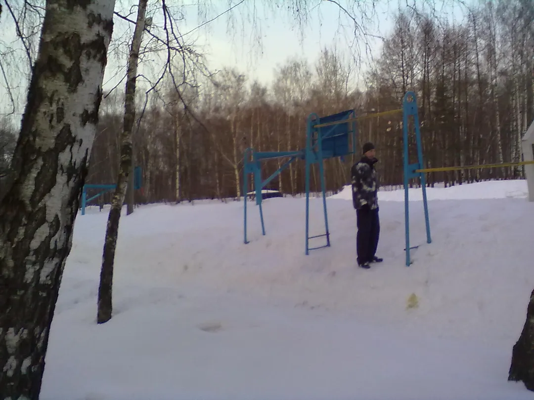 Bare paralele la Calisthenics Park at Зональная улица, Москва – fotografia 2 din 9