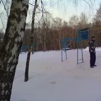 Calisthenics Park at Зональная улица, Москва - thumbnail 2
