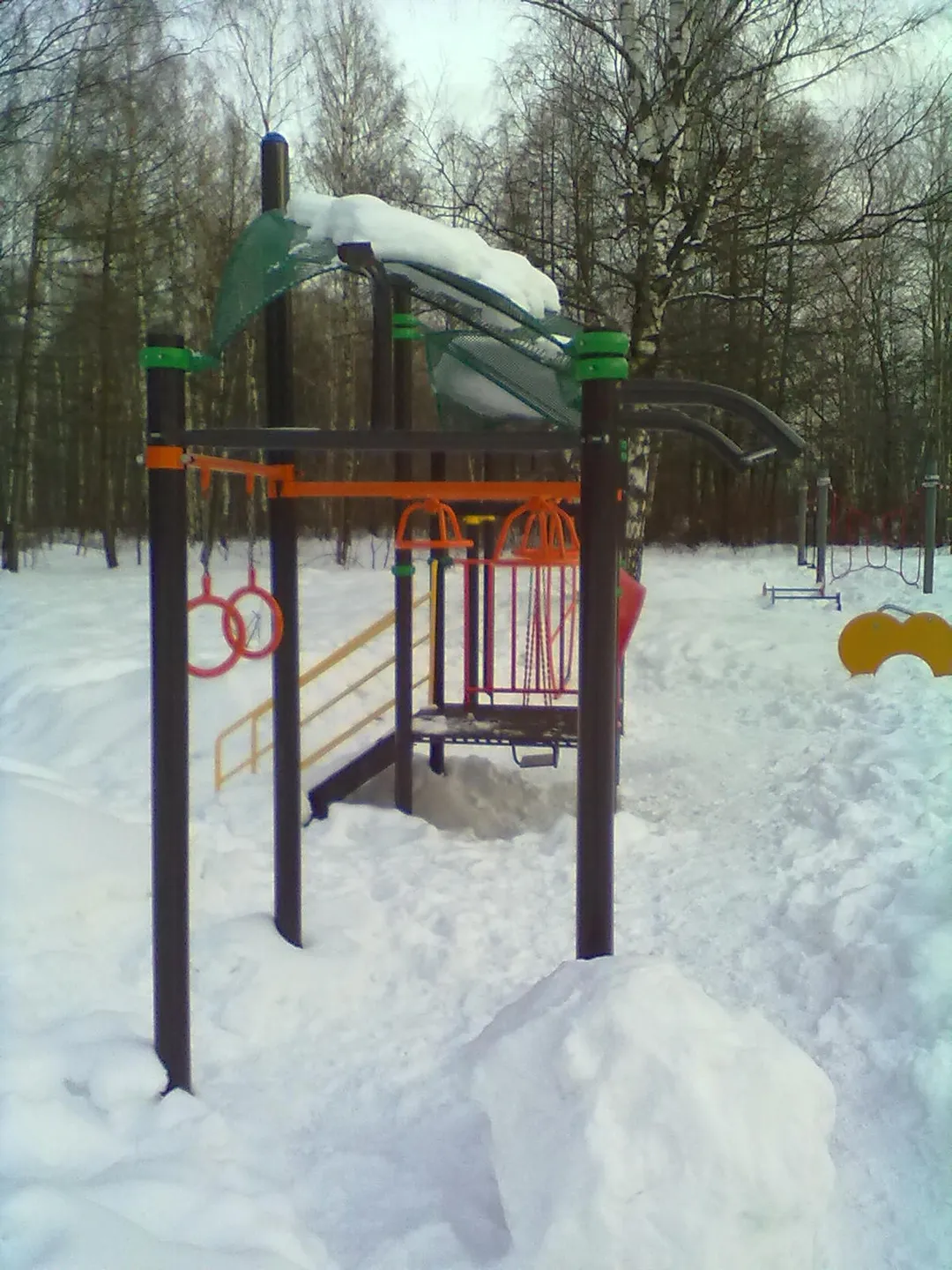 Spalier la Calisthenics Park at Зональная улица, Москва – fotografia 4 din 9