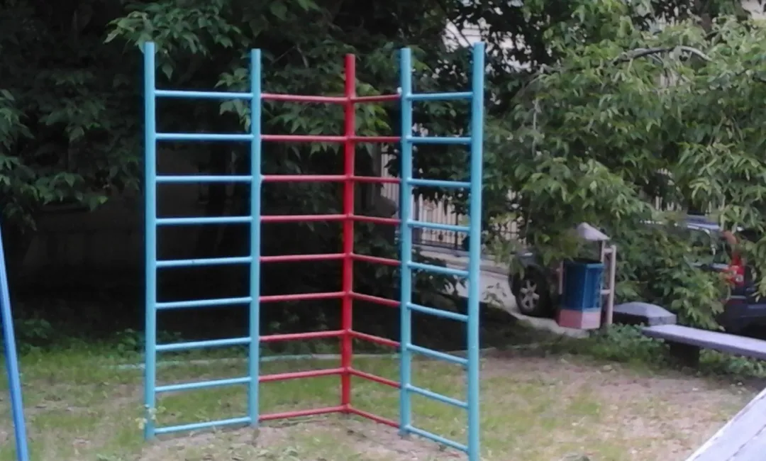 Sprossenwand bei Calisthenics Park at Доброслободская улица, Москва – Foto 2 von 2