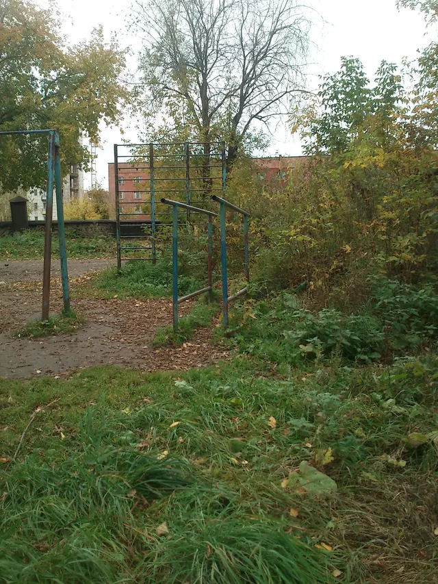 Calisthenics Park at улица Голева, Пермь