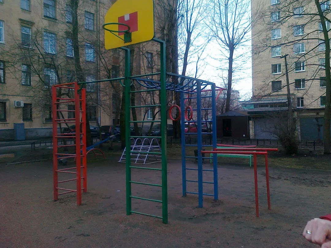 Рукоход на площадке Calisthenics Park at Благодатная улица, Санкт-Петербург – фото 3 из 3