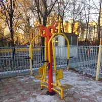 Calisthenics Park at улица Новая Дорога, Москва #wp2789 - thumbnail 3