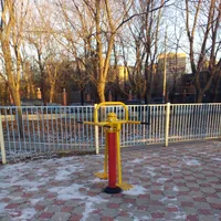 Calisthenics Park at улица Новая Дорога, Москва #wp2789 - thumbnail 4